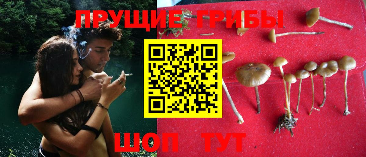 Псилоцибиновые грибы Magic Shrooms Вязники