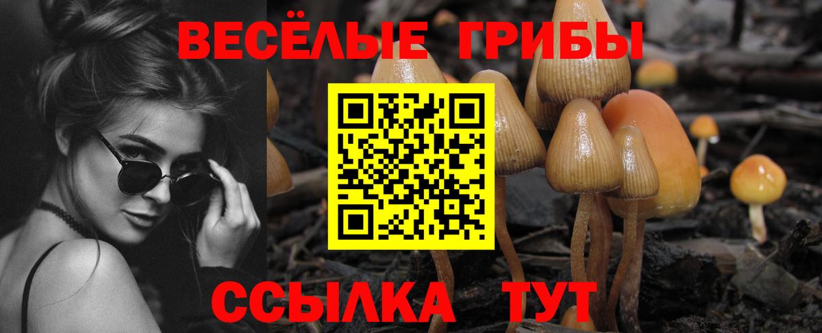 Псилоцибиновые грибы ЛСД  Вход с VPN  Галлюциногенные грибы GOLDEN TEACHER  Вязники 